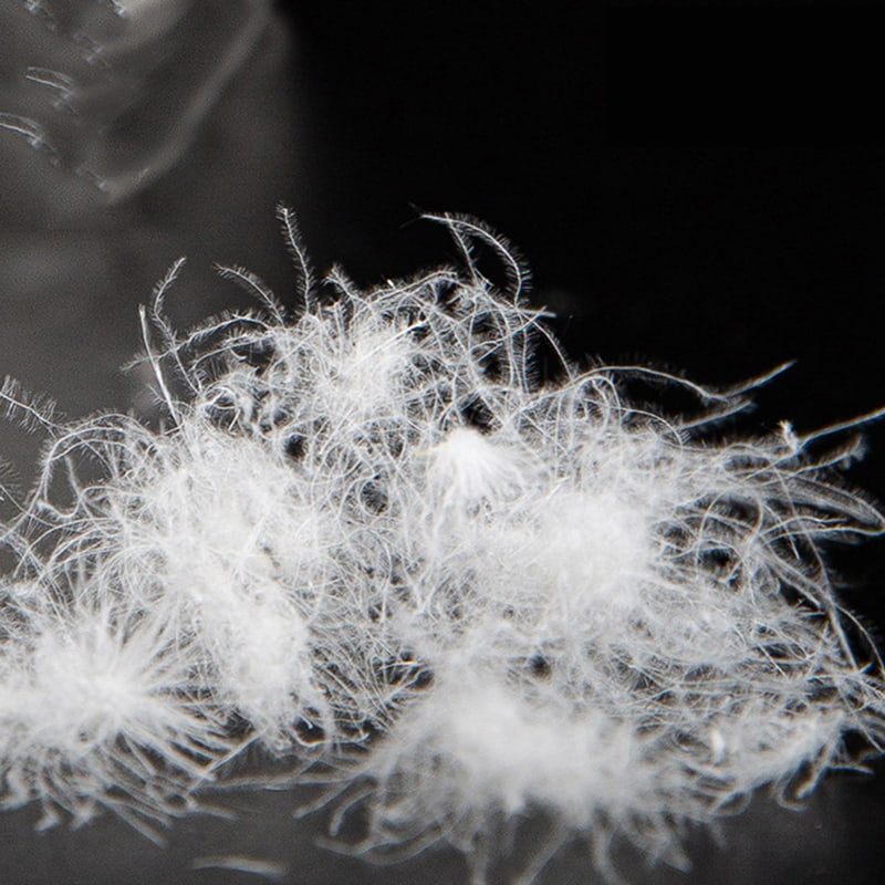 80% খাঁটি সাদা হাঁস ডাউন 80% খাঁটি সাদা হাঁস ডাউন