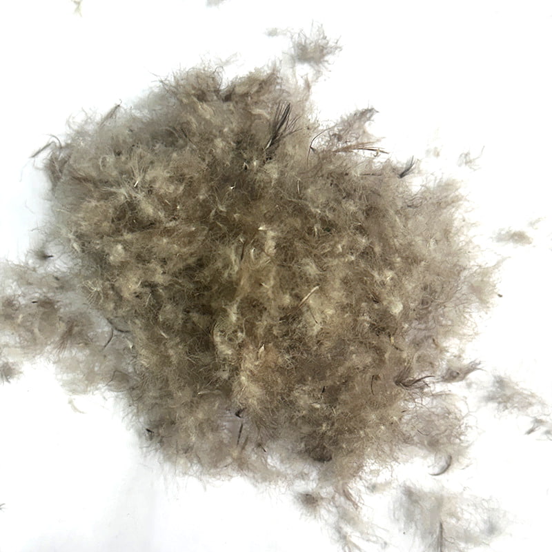 80% গ্রে ডাক ডাউন 80% গ্রে ডাক ডাউন