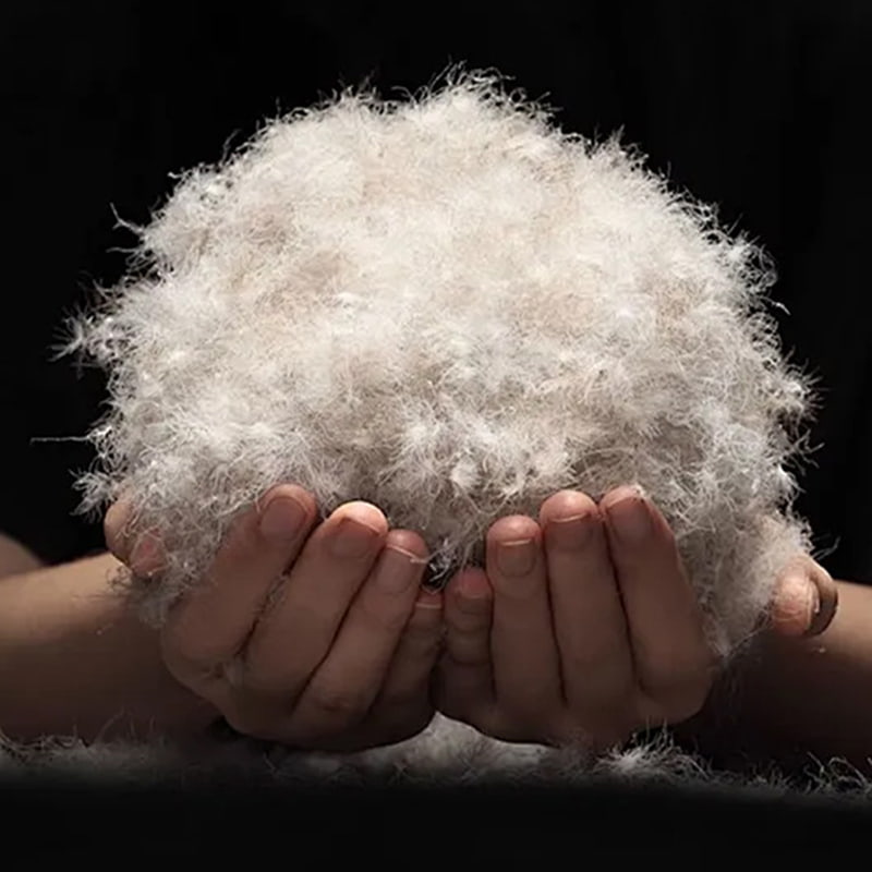 80% গ্রে ডাক ডাউন 80% গ্রে ডাক ডাউন