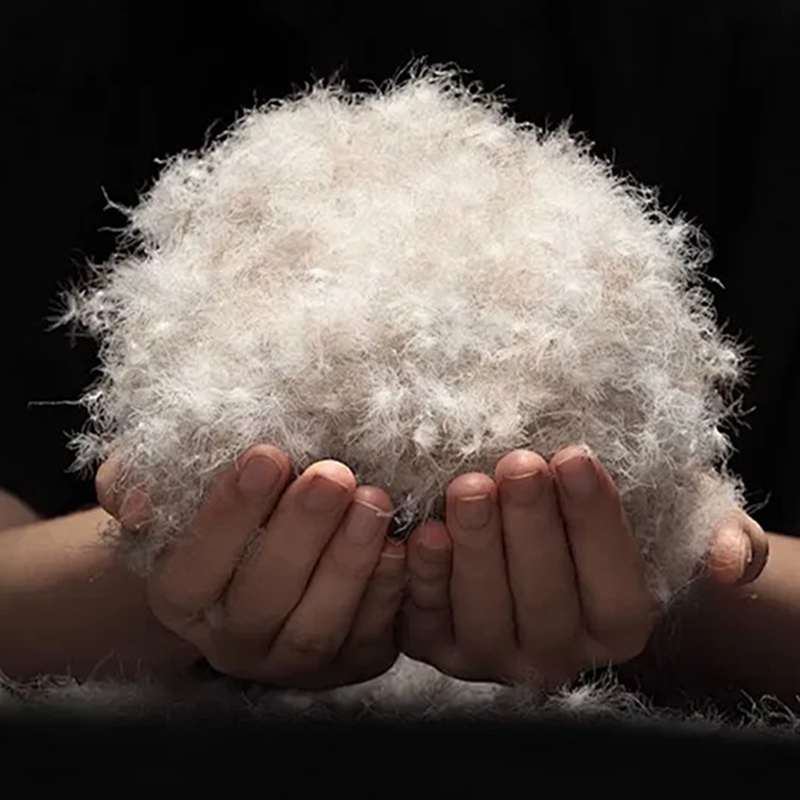 90% গ্রে ডাক ডাউন