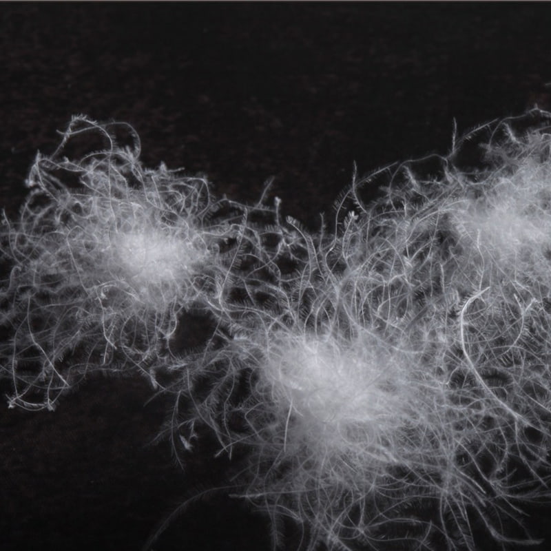 80% বিশুদ্ধ হোয়াইট গুজ ডাউন 80% বিশুদ্ধ হোয়াইট গুজ ডাউন