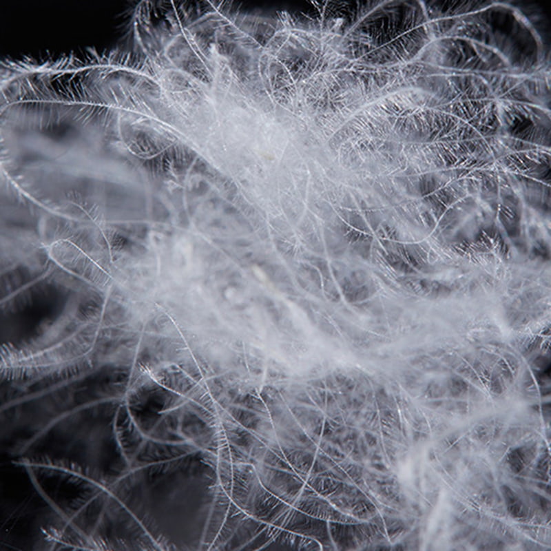 90% খাঁটি সাদা হাঁস ডাউন 90% খাঁটি সাদা হাঁস ডাউন